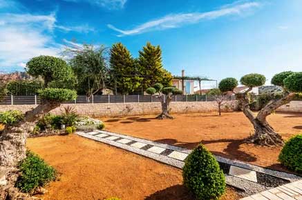 Jardín en Cambrils con sendero de piedra y olivos decorativos