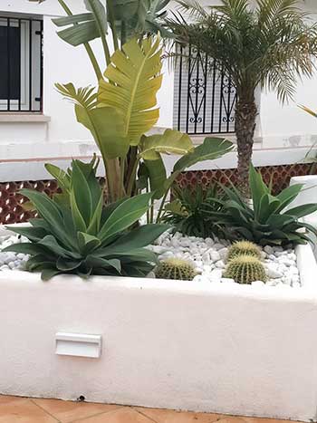 Jardín en Reus, jardín de bajo mantenimiento
